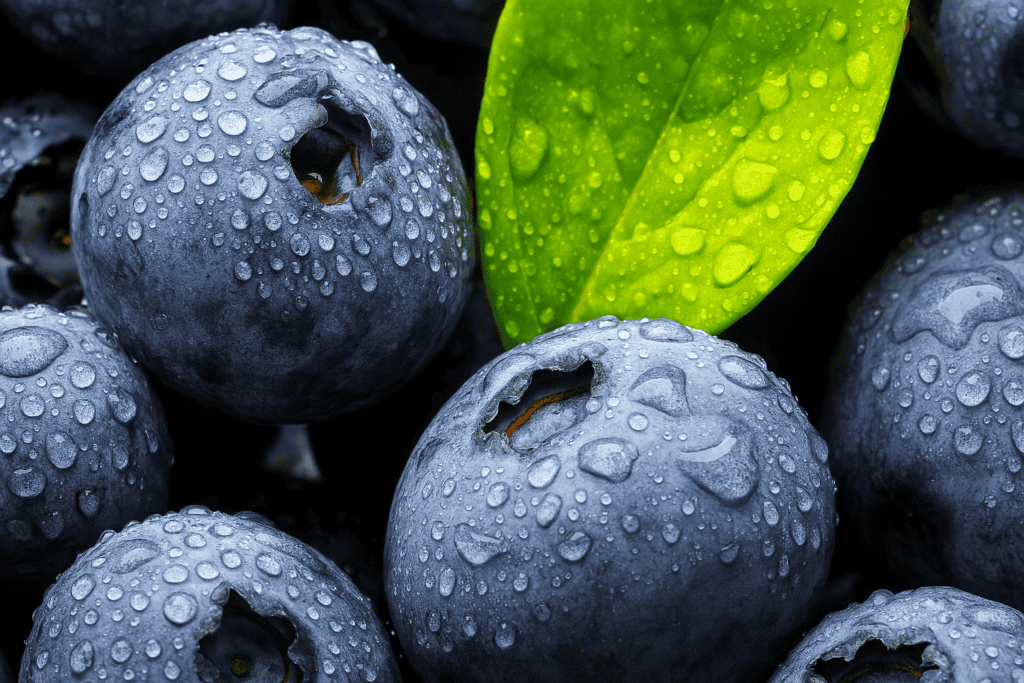 Čučoriedky – superpotravina pre dlhovekosť, mozog, zrak a trávenie