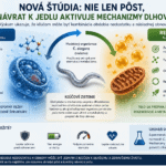 Nová štúdia: možno nie pôst, ale návrat k jedlu spomaľuje starnutie