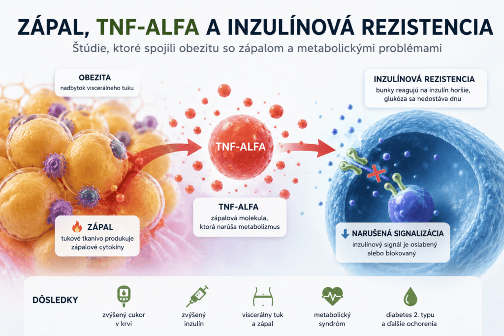 Zápal, TNF-alfa a inzulínová rezistencia: štúdie, ktoré spojili obezitu so zápalom a metabolickými problémami