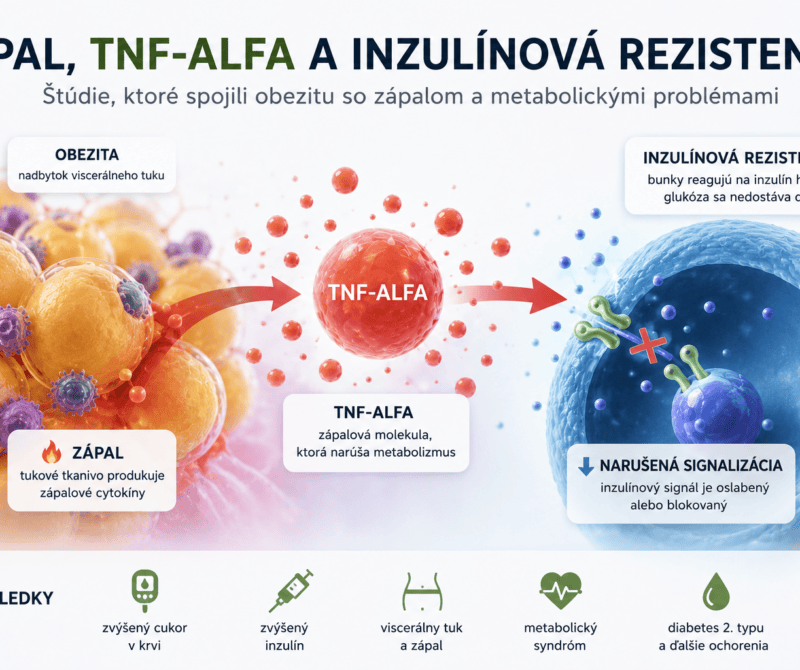 Zápal, TNF-alfa a inzulínová rezistencia: štúdie, ktoré spojili obezitu so zápalom a metabolickými problémami