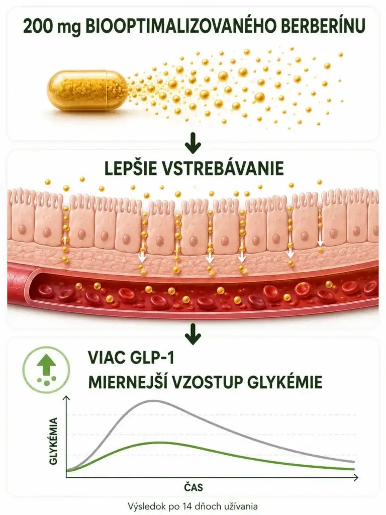Biooptimalizovaný berberín – lepšie vstrebávanie, viac GLP-1 a miernejší vzostup glykémie