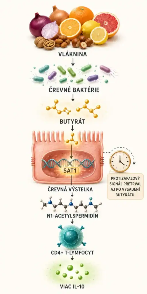 mikrobiom